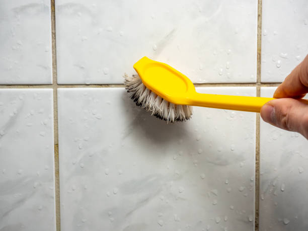 Best Mold Damage Repair  in Carnation, WA