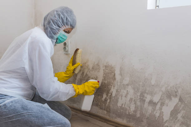 Crawl Space Mold Removal in Carnation, WA