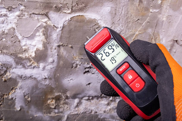 Best Mold Testing  in Carnation, WA