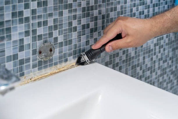 Certified Mold Removal in Carnation, WA