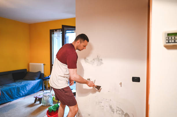 Best Certified Mold Removal  in Carnation, WA