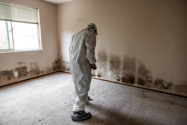 Best Office Mold Removal Services  in Carnation, WA