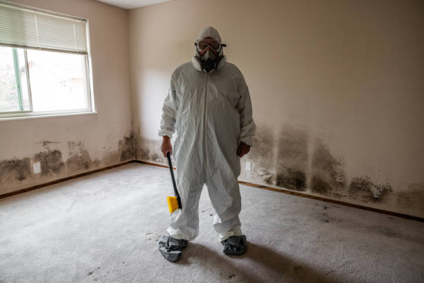 Best Crawl Space Mold Removal  in Carnation, WA